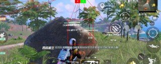 和平直装【牛魔王】辅助